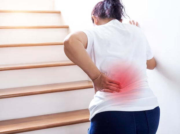Upper Back & Lower Back Therapy